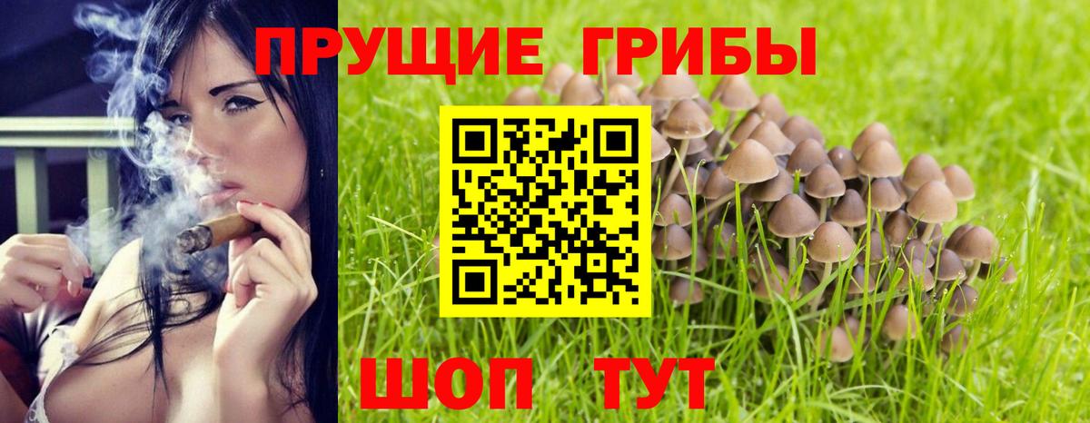 Псилоцибиновые грибы GOLDEN TEACHER Нягань