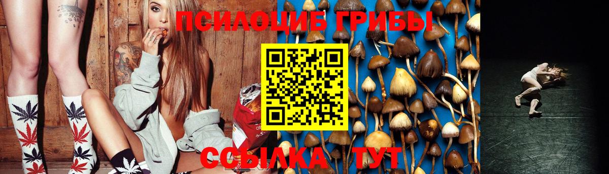 Галлюциногенные грибы Psilocybe  Вход с VPN  Нягань 