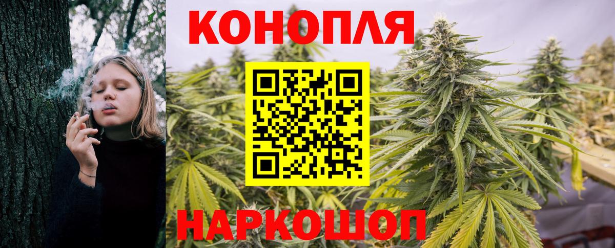 Бошки Шишки MAZAR Нягань